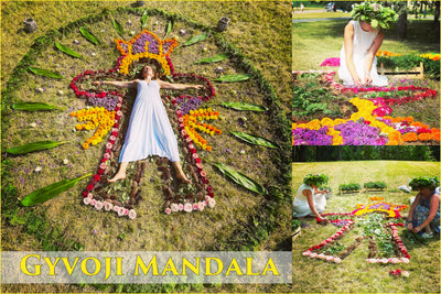 "Gyvoji Mandala" | Saulės Mandala